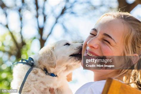 dog licking teen pussy|163 Fotos und hochauflösende Bilder zu Dog Licks Teenage Girl